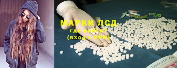 spice Верея