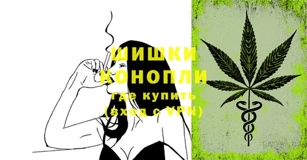 spice Верея
